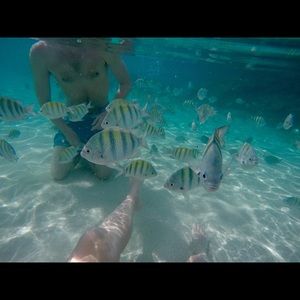 Meet your Posher, Ben